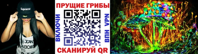 Галлюциногенные грибы Psilocybe omg онион Кыштым