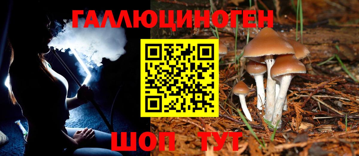 Кыштым  Псилоцибиновые грибы мухоморы  Вход с VPN 
